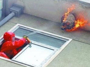 廣州滅馬蜂公司 安全徹底清除殺蜂蟲，兼談保潔清洗服務(wù)